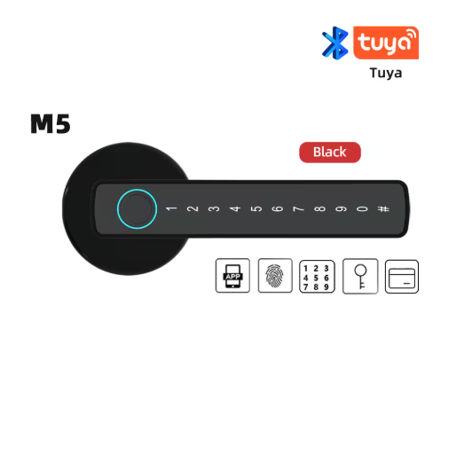 RAYKUBE M5 Tuya Smart Fingerprint Door Lock with Key & App