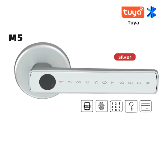 RAYKUBE M5 Tuya Smart Fingerprint Door Lock with Key & App